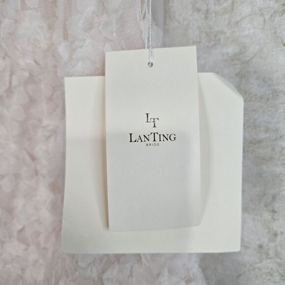 NEW LanTing Bride Pale Pink Roset MOB Two Piece Set Size 10 - Picture 4 of 12